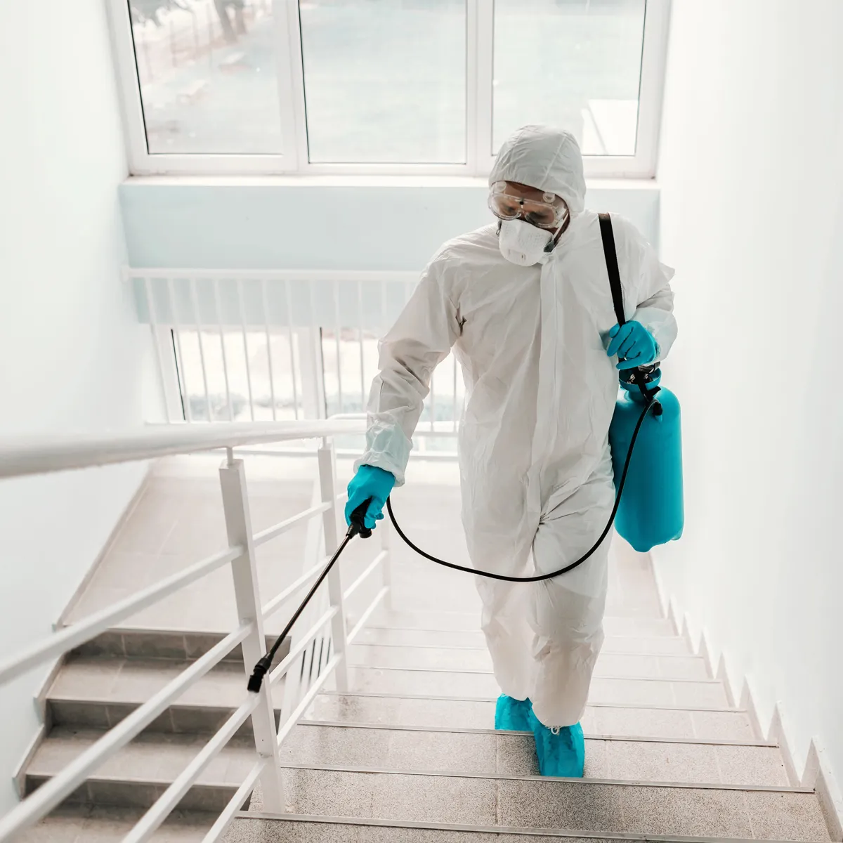 Tecnico specializzato in tuta protettiva completa durante disinfestazione scale condominiali a Bari con nebulizzatore professionale certificato. Impresa di pulizie Bari leader nei servizi di disinfestazione per vani scale, pianerottoli e aree comuni condominiali con operatori qualificati e massima sicurezza. Disinfestazione scale condominiali efficace che garantisce eliminazione di batteri, virus e parassiti con trattamenti mirati e dispositivi di protezione avanzati.