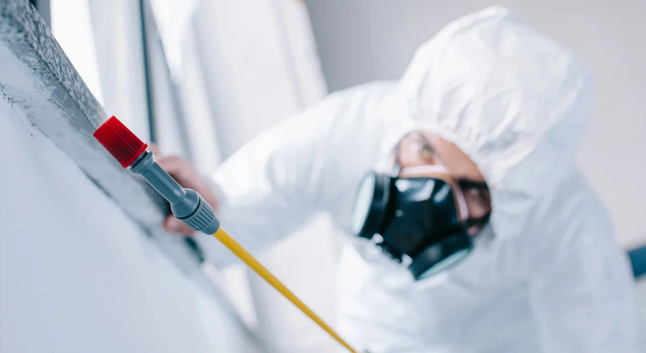 Specialista di Siegel Service in tuta protettiva durante servizi di disinfestazione professionale a Bari con attrezzature certificate. Impresa di pulizie Bari specializzata in disinfestazione roditori, blatte e zanzare per ambienti industriali, uffici e aziende. Operatore qualificato con dispositivi di sicurezza per garantire trattamenti efficaci e sicuri contro infestazioni in tutti gli spazi commerciali.
